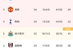 梅诺转会引热议：英格兰国脚或将加盟纽卡斯尔联